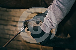 Horse shoeing