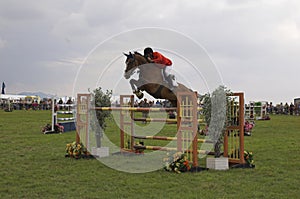 Horse show jumping