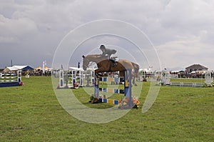 Horse show jumping