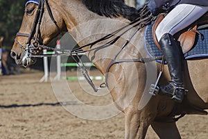 Horse Show Jumping Detail