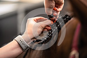 Horse Show Plaits in the Making