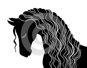 Horse silhouette