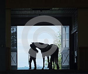 Horse Silhouette