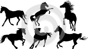 Horse Silhouette Collection