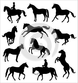 Horse silhouette graphic vector illustration