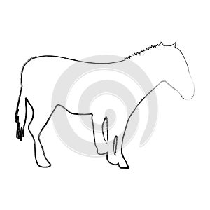 Horse silhouette isolated icon