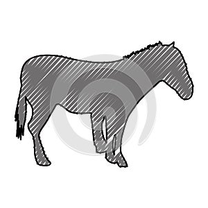 Horse silhouette isolated icon