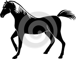 Horse silhouette. Mascot isolated on white