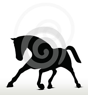 Horse silhouette