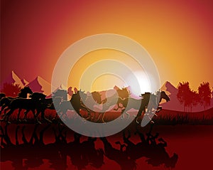 Horse silhouette on sunset background.