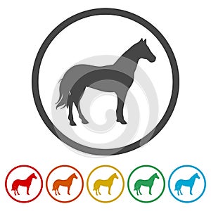 Horse silhouette - Vector - Illustration, 6 Colors Included