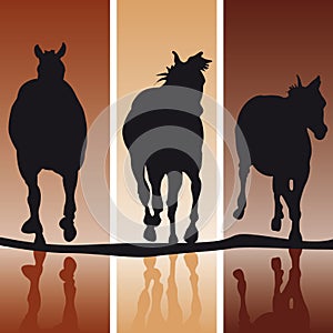 Horse Silhouettes
