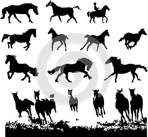 Horse silhouettes set