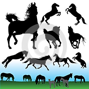 Horse silhouettes set