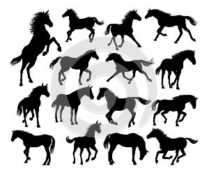 Horse Silhouettes Set