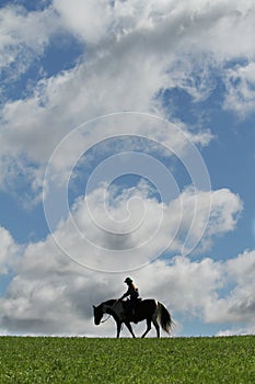 Un cavallo un il cielo 