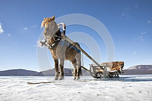 Horse and a sledge on a frozen lake