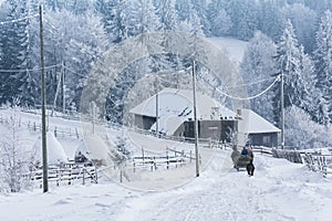 Horse sledge in winter rural landscape in a mountain village in Transylvania, Romania