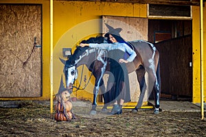 A horse is sniffing an impromptu figurine of pumpkins, a girl dressed as a witch is standing nearby and smiling photo