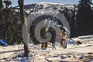 A horse on a snow capped mountain