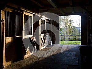 Horse Stable