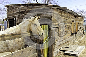 Horse and Stable