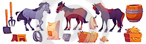 Horse stable design set on white background