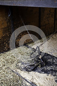 Horse stable empty