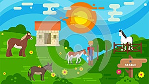 Horse stable and pasture land vector illustration flat style. Horse breeder farmer at animal husbandry. Different horses