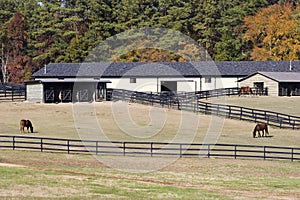 Horse Stables