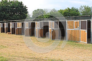 Horse stables