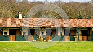 Horse stables empty on animal farm