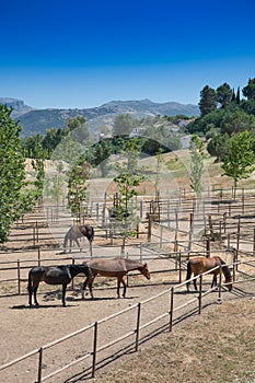 Horse Stables, Ronda, Andalucia, Spain