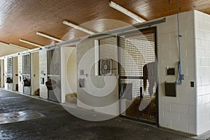 Horse in stall of equine hospital