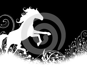 Horse Stallion Silhouette