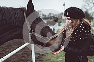 Horse standing behind the fence asking for food