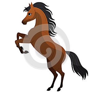 horse. Stands on its hind legs. Cute horse character for children's