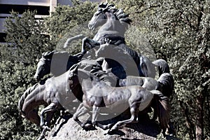 Horse Statue, Austin TX