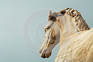 Horse statue on Capitoline Hill