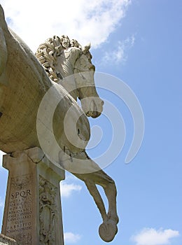 Horse statue in Rome