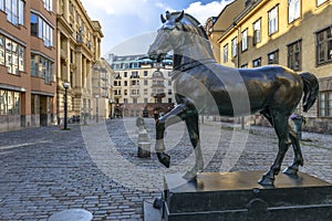 Horse Statue in Stockholm