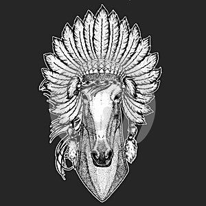 Horse, steed, courser. Indian tribal traditional headdress with feathers. Portrait of wild animal.