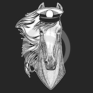 Horse, steed, courser. Sailor capitan hat. Portrait of wild animal.