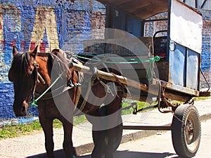 Horse stop in Chile. traditionally bc countryside habits. Folclore photo