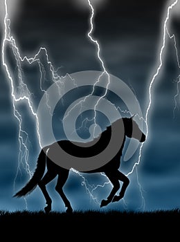 Horse in the storm