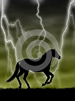 Horse in the storm