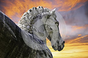 Horse sunrise photo