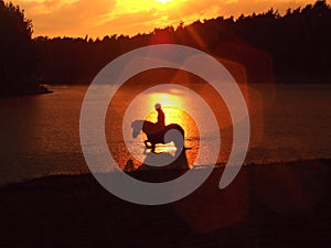 Horse and sunset