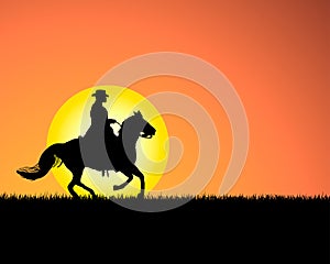 Horse on sunset background