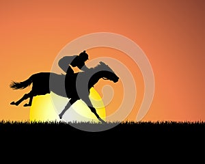 Horse on sunset background